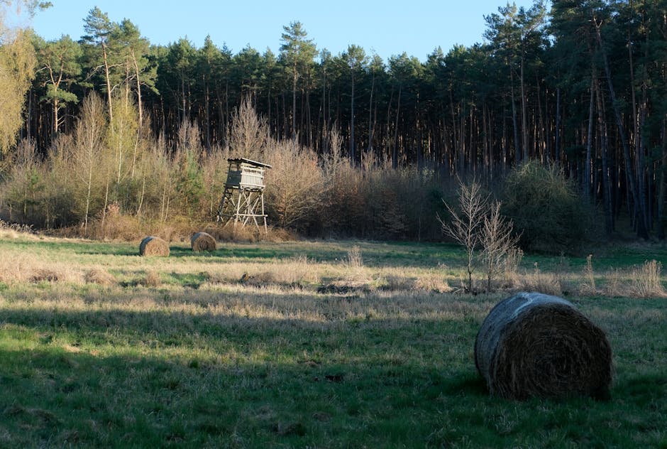 Typisches Cache-Versteck in der Natur