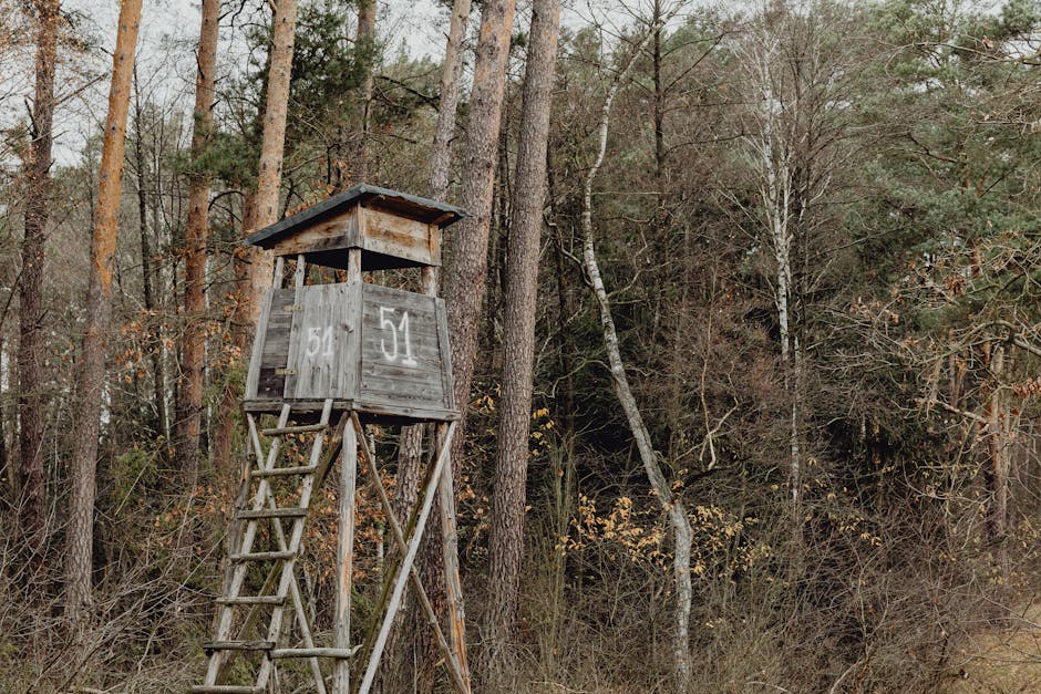 Cache-Suche im Wald mit GPS-Koordinaten